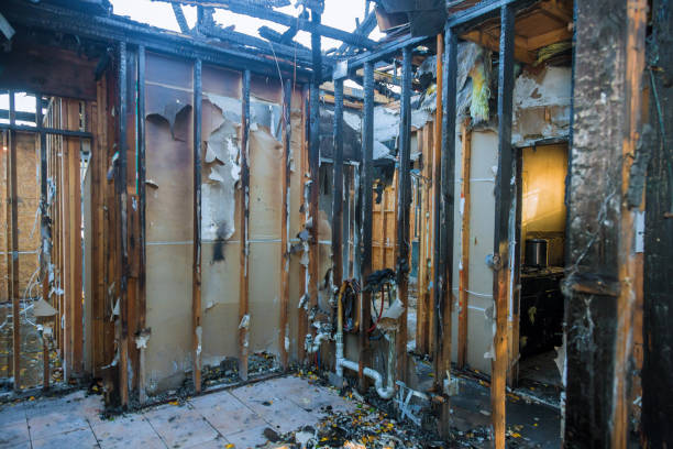 Professional Fire Damage Assessment technician working in New Market, VA